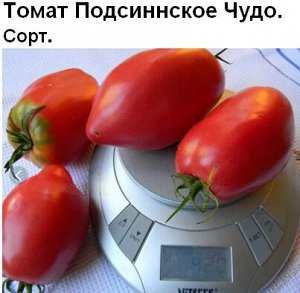 Томат Подсиннское Чудо (5 семян)