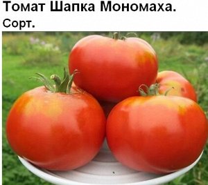 Томат Шапка Мономаха (5 семян)