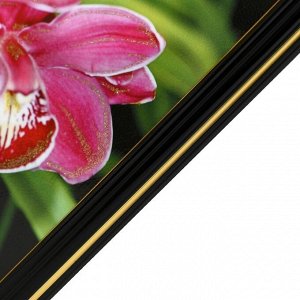 Картина "Орхидеи" 25 х 35(28х38) см