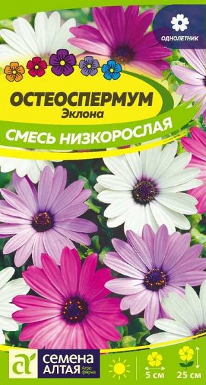 Цветы Остеоспермум Смесь низкорослая/Сем Алт/цп 0,1 гр. НОВИНКА