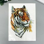 Татуировка на тело цветная &quot;Амурский тигр&quot; 21х15 см