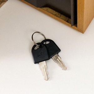 Сейф шкатулка книга ""Горе от ума"" 21х13х5 см