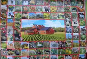 Игра настольная ходилка ФОТОвикторина "Ферма. Животные и растения"
