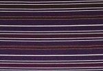SPARTA plum