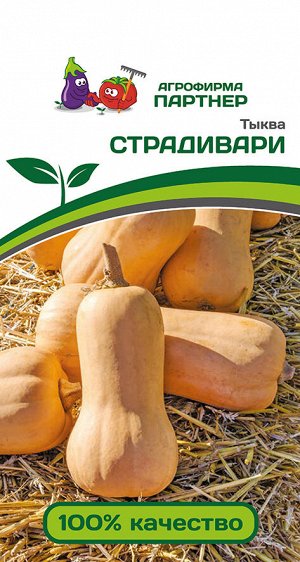 ПАРТНЁР Тыква Страдивари