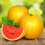 -15% на Бахчевые! Партнёр и Семко — надежные семена! НОВИНКИ