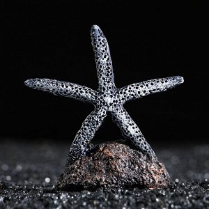 Морская звезда на подставке, 7,5 х 3,5 х 8 см, синяя