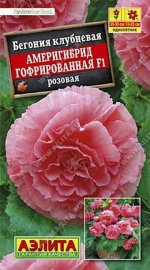 Бегония Америгибрид Розовая F1 (Код: 85999)