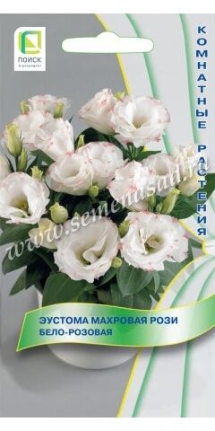 Эустома Рози Бело-розовая (Код: 88350)
