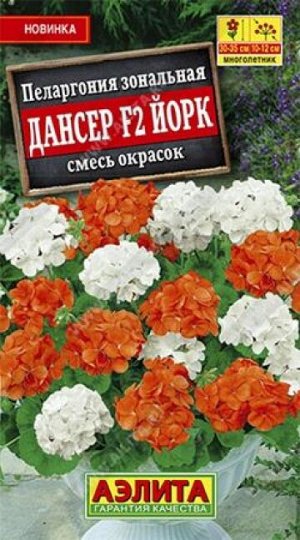 Пеларгония Дансер F1 Йорк (Код: 86038)