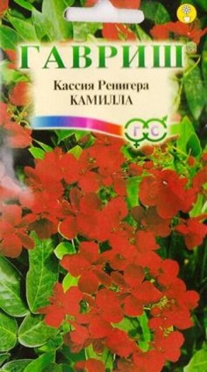 Кассия Камилла, Ренигера (Код: 12490)