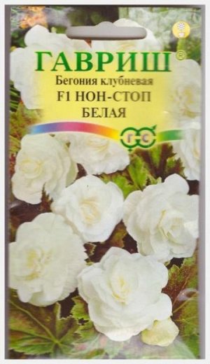 Бегония Нон-стоп Белая F1 (Код: 5200)