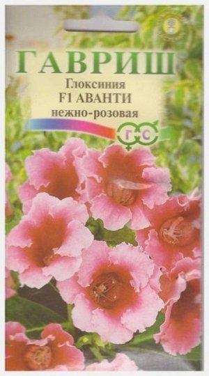 Глоксиния Аванти F1 Нежно-розовая (Код: 6431)