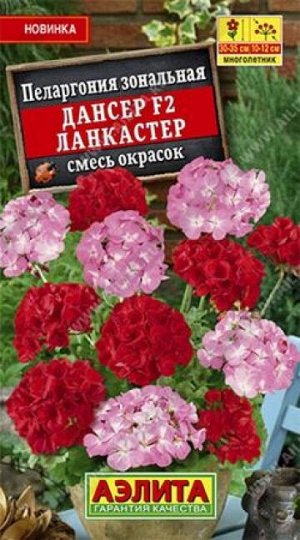Пеларгония Дансер F2 Ланкастер (Код: 86039)