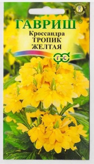Кроссандра Тропик Желтая (Код: 13918)