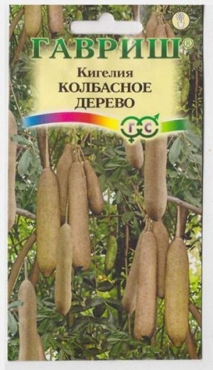 Кигелия Колбасное дерево (Код: 13049)