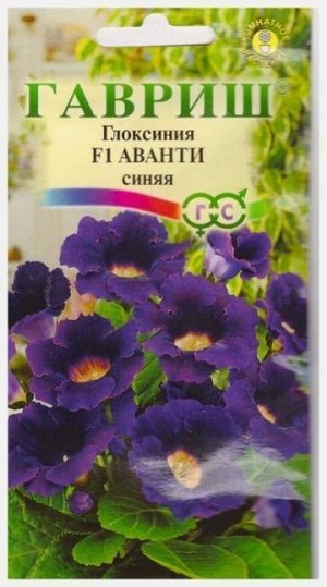 Глоксиния Аванти Синяя F1 (Код: 6742)