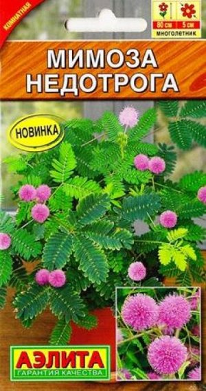 Мимоза Недотрога (Код: 82960)