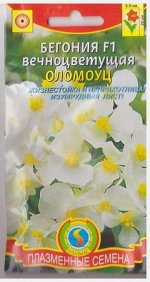 Бегония Оломоуц F1 (Код: 75810)