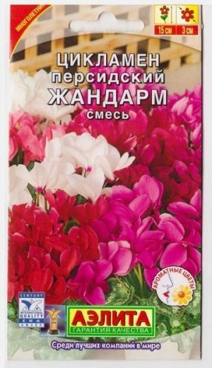 Цикламен Жандарм смесь (Код: 68604)