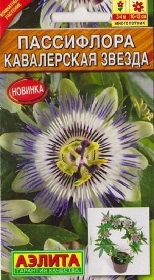 Пассифлора Кавалерская звезда (Код: 1814)