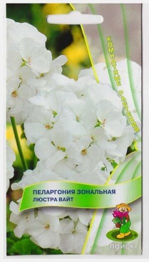 Пеларгония Люстра Вайт (Код: 67287)