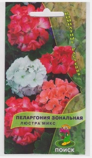 Пеларгония Люстра Микс (Код: 15294)