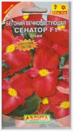 Бегония Сенатор Алая (Код: 70910)