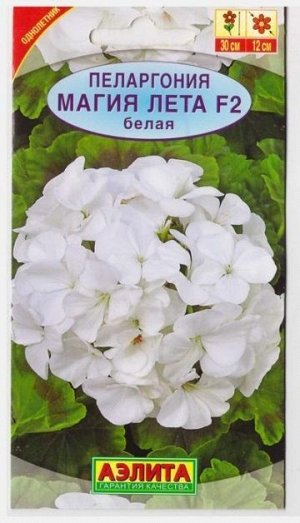 Пеларгония Магия лета F2 Белая (Код: 71409)