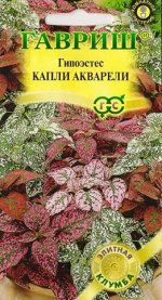 Гипоэстес Капли акаврели (Код: 81807)