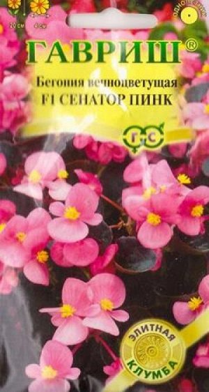 Бегония Сенатор Пинк F1 (Код: 85664)