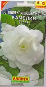 Бегония Камелия белая (Код: 70912)