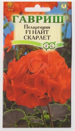 Пеларгония Найт Скарлет F1 (Код: 67019)