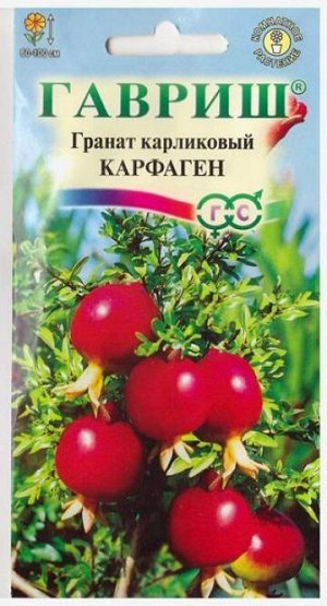 Гранат карликовый Карфаген (Код: 1990)