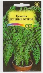 Гревиллея Зеленый остров (Код: 14211)