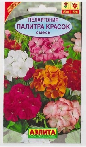 Пеларгония Палитра красок смесь (Код: 9637)