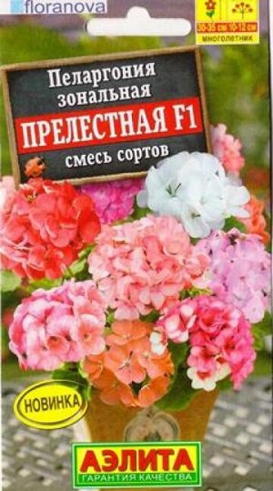 Пеларгония Прелестная F1 смесь (Код: 87678)