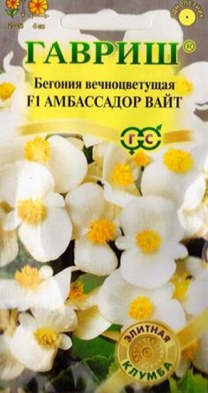Бегония Амбассадор Вайт (Код: 84823)