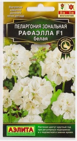 Пеларгония Рафаэлла F1 Белая (Код: 73711)