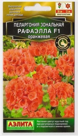 Пеларгония Рафаэлла F1 Оранжевая (Код: 73712)