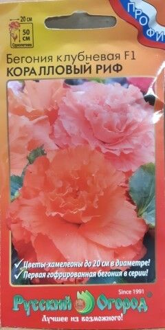 Бегония Коралловый Риф F1 (Код: 88277)