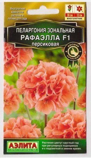 Пеларгония Рафаэлла F1 Персиковая (Код: 73713)