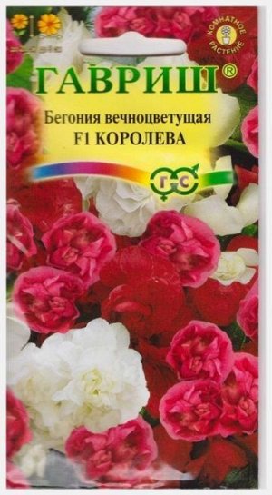 Бегония Королева F1 (Код: 72061)