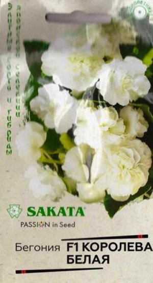 Бегония Королева Белая F1 (Код: 86952)