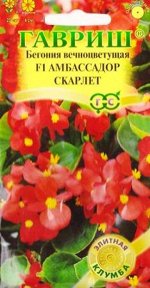 Бегония Амбассадор Скарлет (Код: 84825)