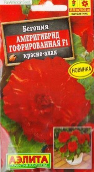 Бегония Америгибрид Красно-Алая F1 (Код: 87658)