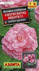 Бегония Америгибрид Пикоти Розовое кружево F1 (Код: 86001)