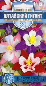 Аквилегия Алтайский гигант (Код: 84661)
