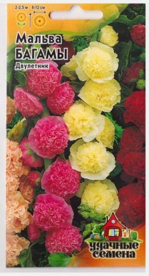 Мальва Багамы смесь (Код: 6914)