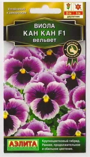 Виола Кан Кан F1 вельвет (Код: 73330)
